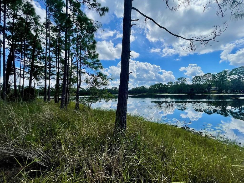 42318 W Lake Rd., Deland, FL 32720