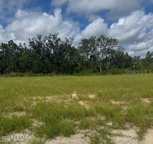 93 Coronado Rd., Flagler Beach, FL 32136