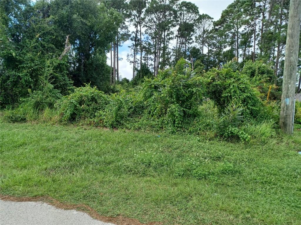 1811 Amboy Dr., Deltona, FL 32738