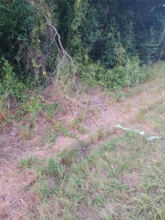 88 Dirksen Dr., Debary, FL 32713