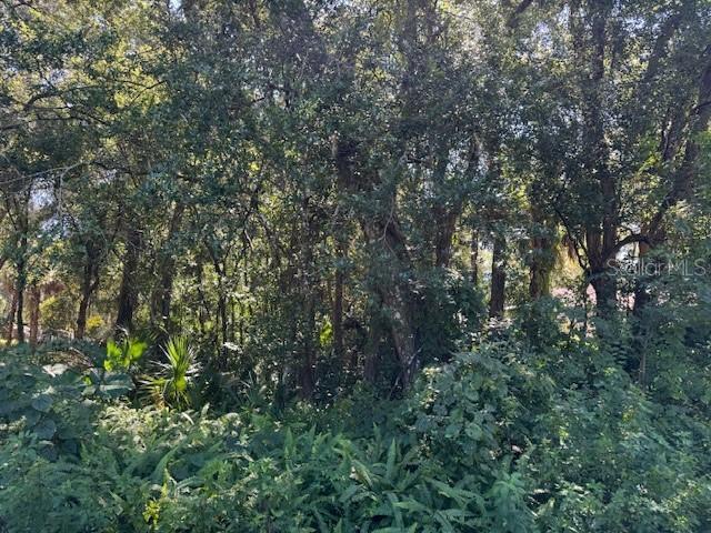 E French Ave., Orange City, FL 32763
