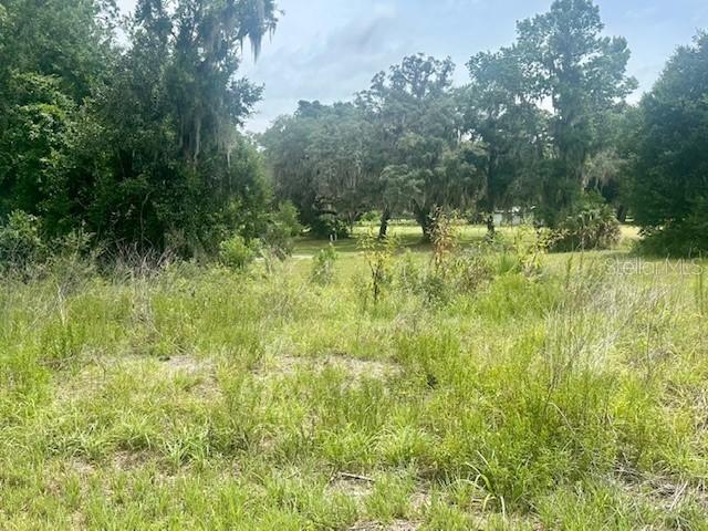161 Live Oak Cir., Crescent City, FL 32112