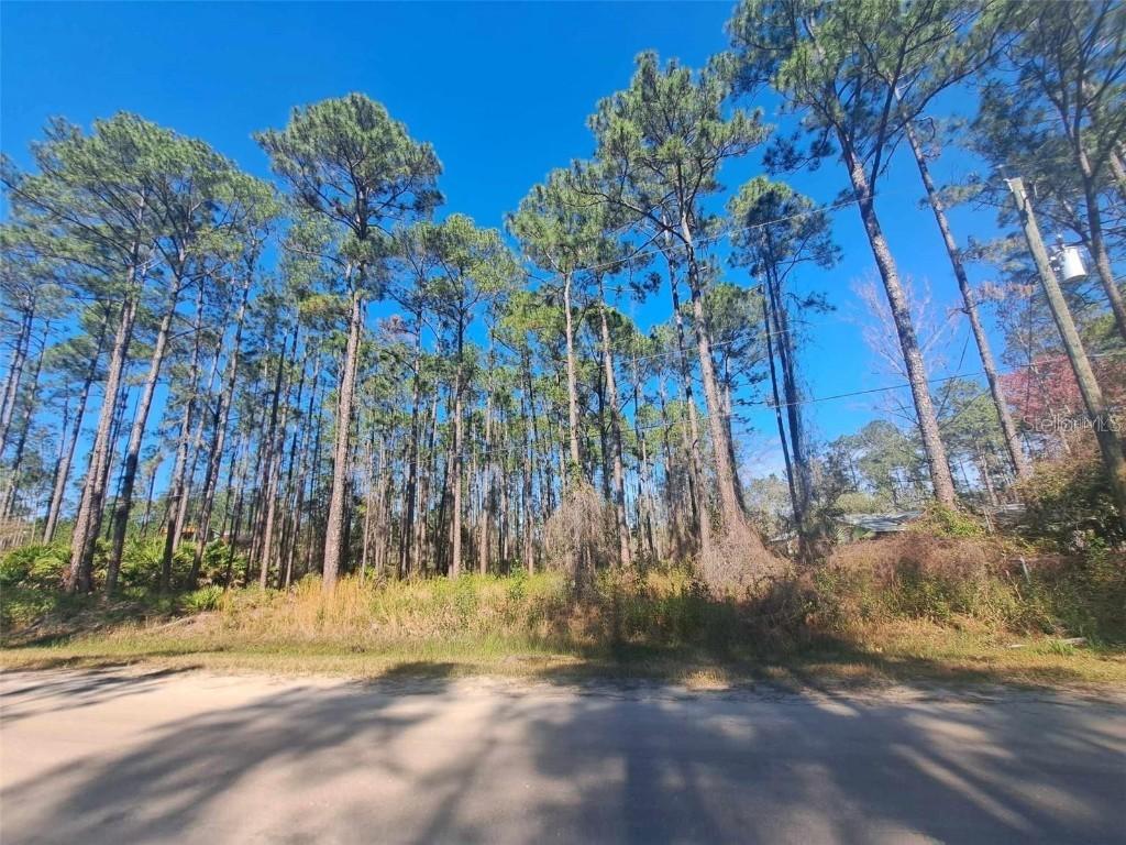 5146 Lime Ave., Bunnell, FL 32110