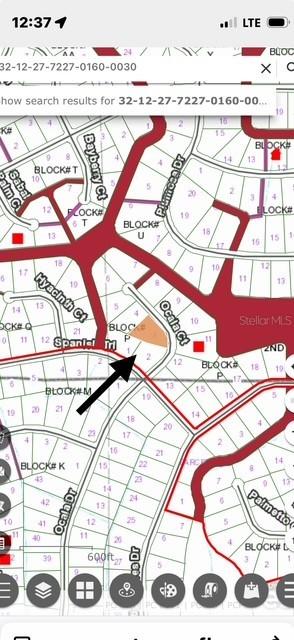 207 Ocala Ct., Georgetown, FL 32139