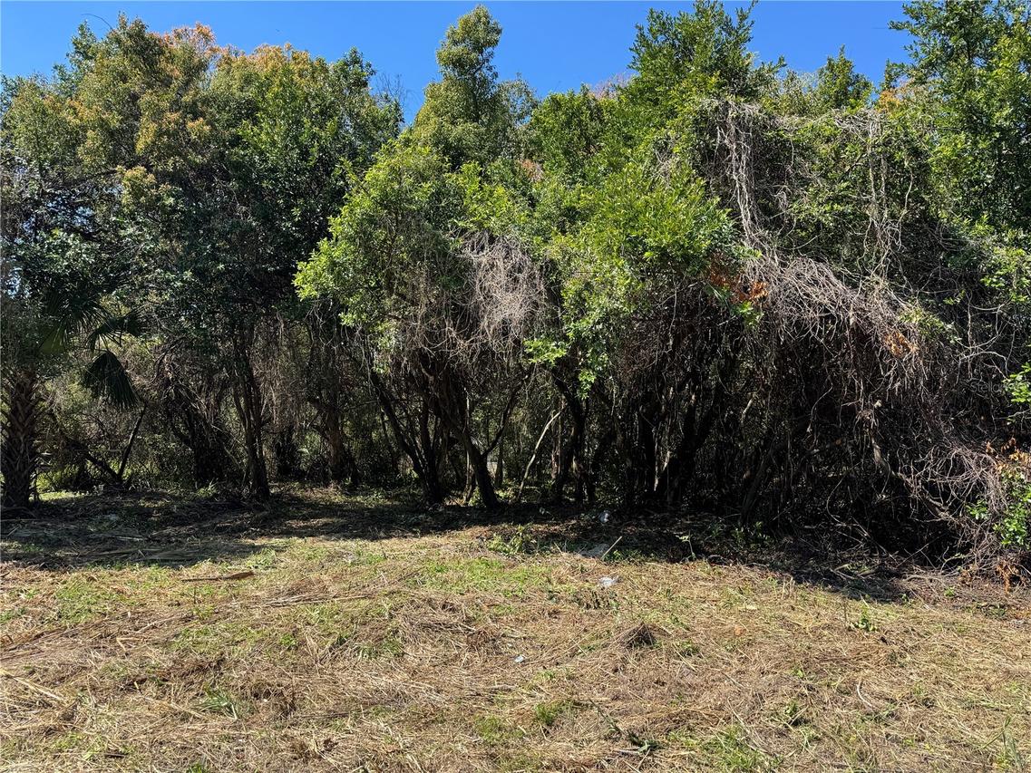 Beau Ct., Orange City, FL 32763