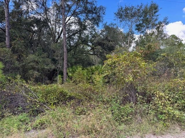 12th Ave., Deland, FL 32724