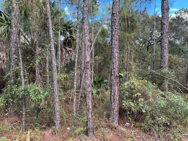 12th Ave., Deland, FL 32724