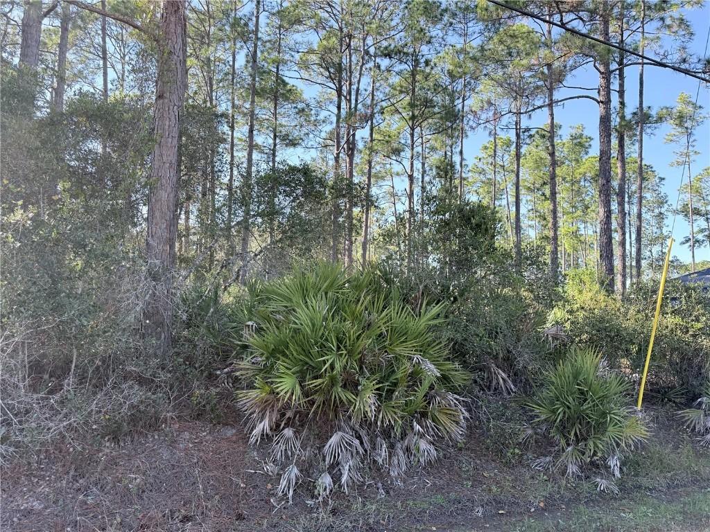 1720 10th, Deland, FL 32724