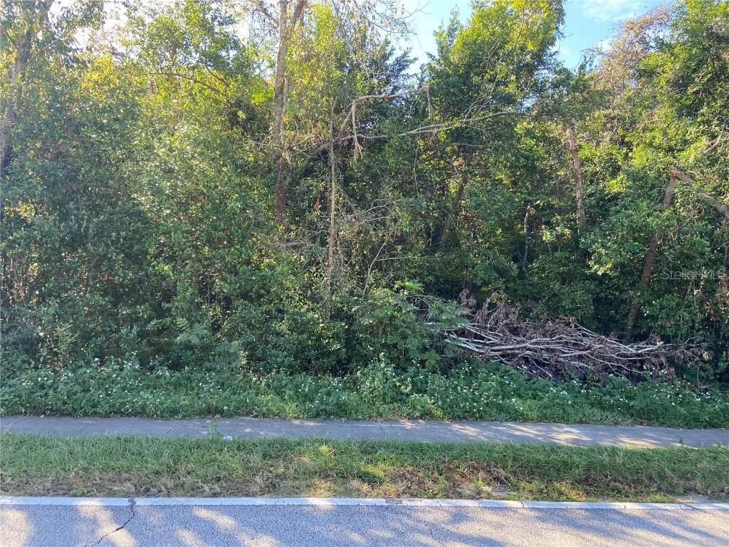 1296 S Seagate Dr., Deltona, FL 32725