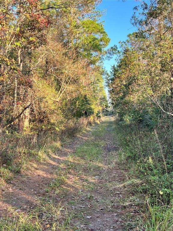 University Highlands/ Deland Crossings, Deland, FL 32724