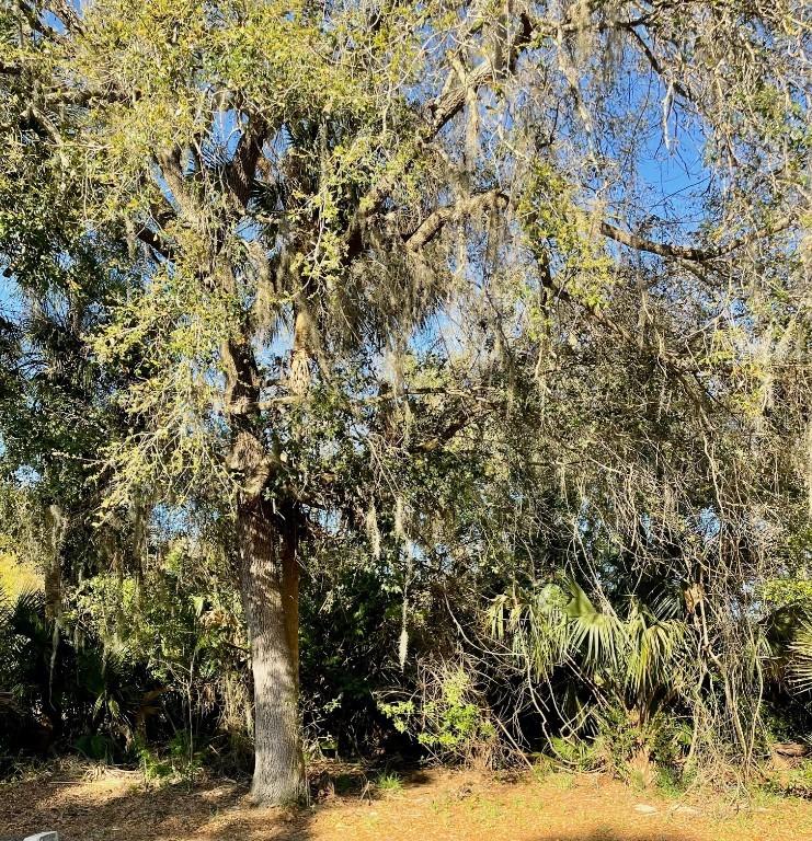 Osteen Maytown Rd., Osteen, FL 32764