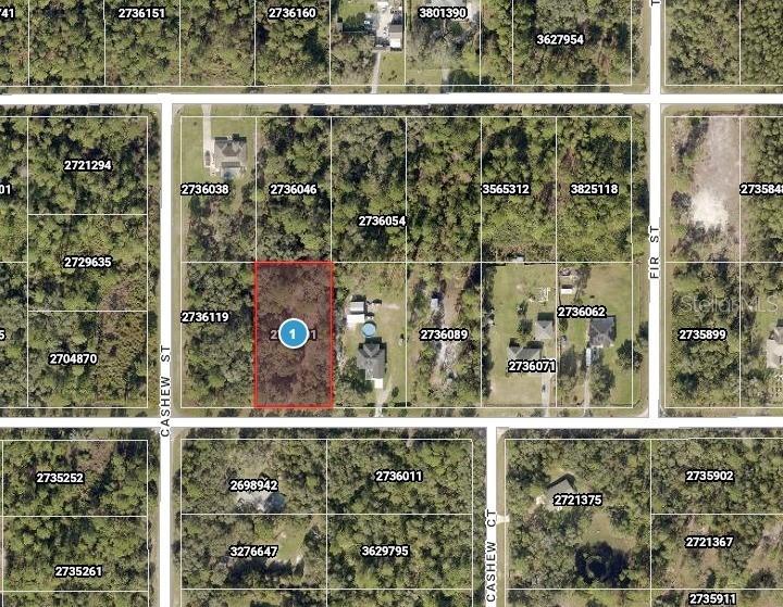 Saffron Ave., Eustis, FL 32736