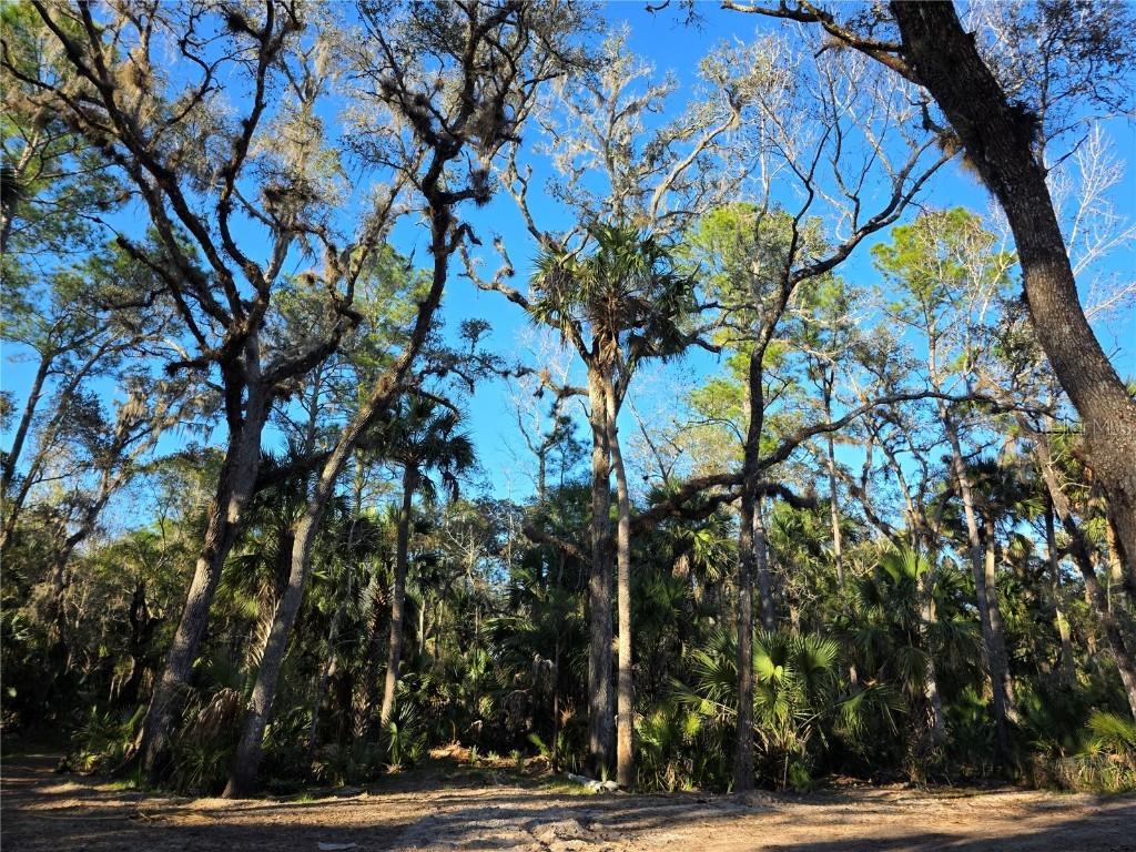 1243 Gee Whiz Dr., Osteen, FL 32764