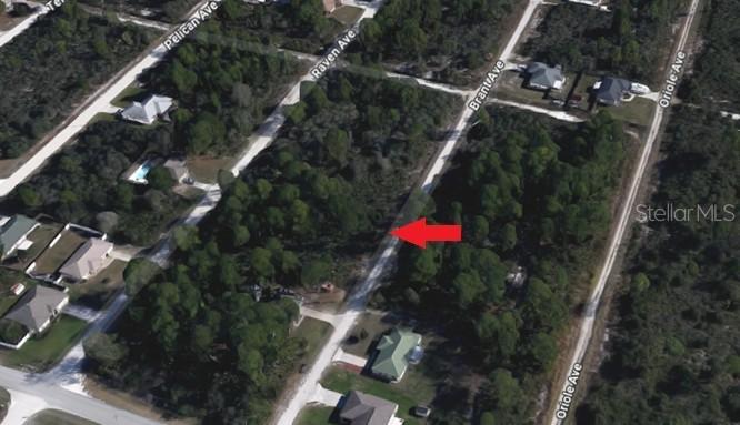247 Brant Ave., Sebring, FL 33870