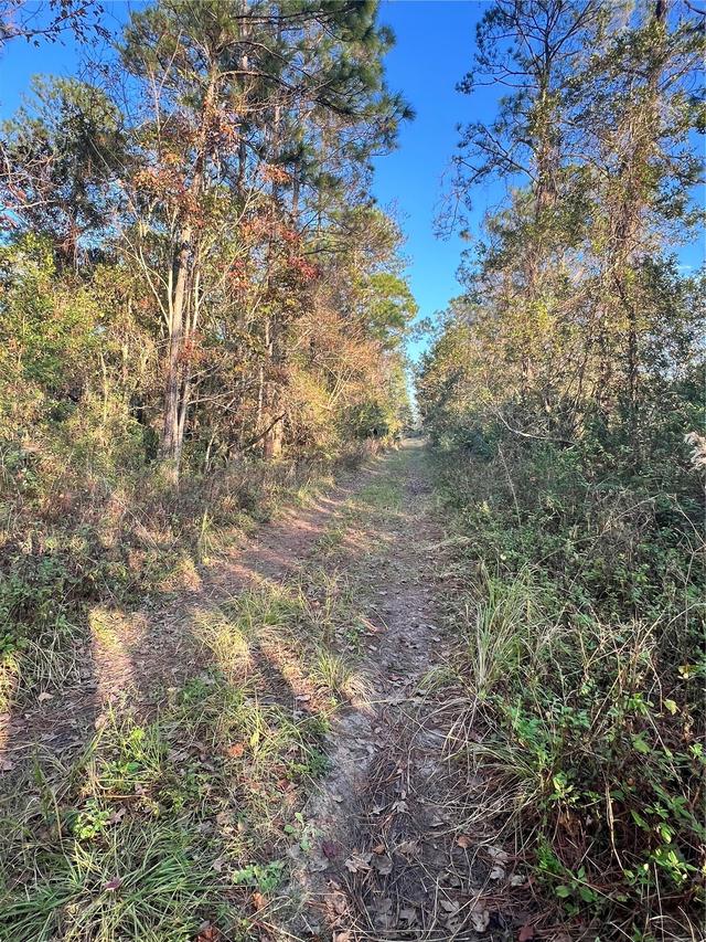 University Highlands/ Deland Crossings, Deland, FL 32724