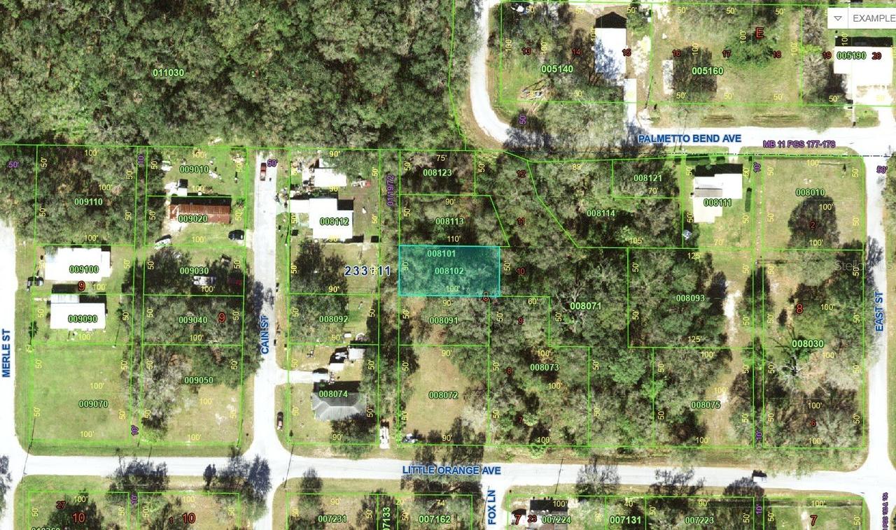 Little Orange Ave., Mulberry, FL 33860
