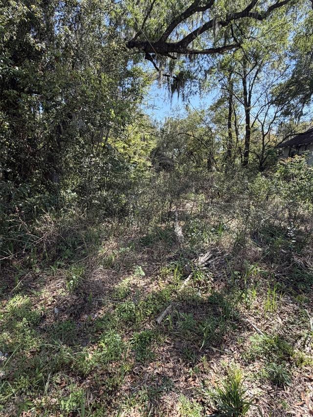 110 E Mercers Fernery Rd., Deland, FL 32724