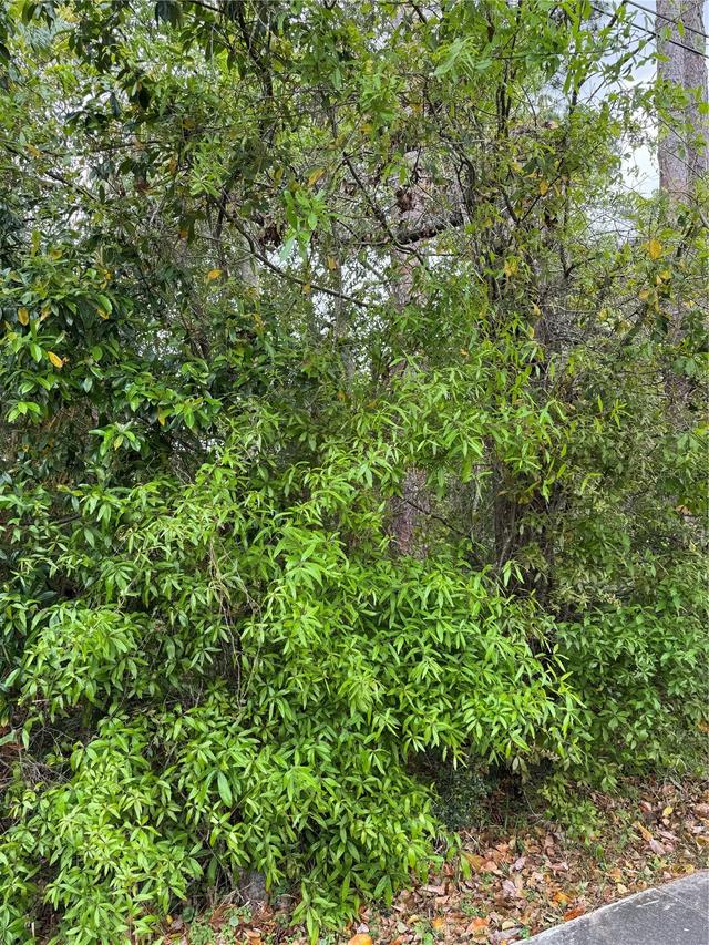 253 E Highbanks Rd., Debary, FL 32713