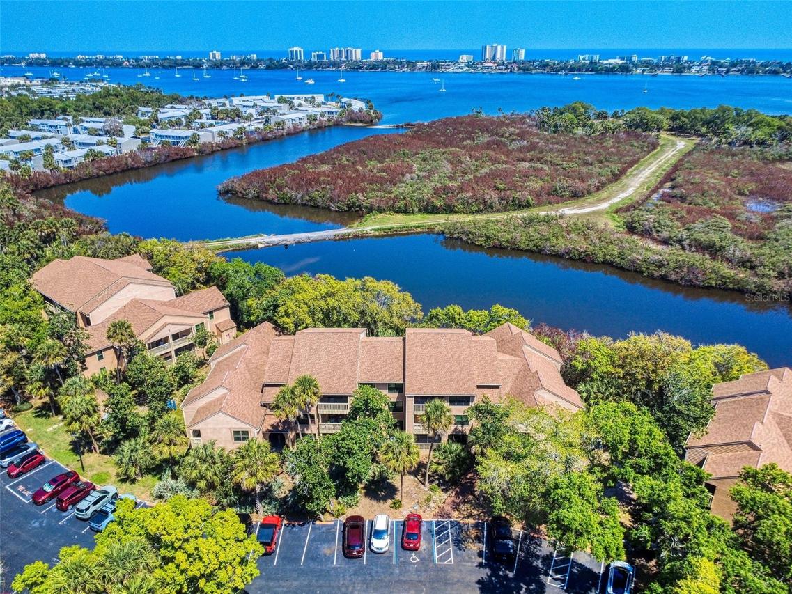 1401 S Palmetto Ave. #306, Daytona Beach, FL 32114