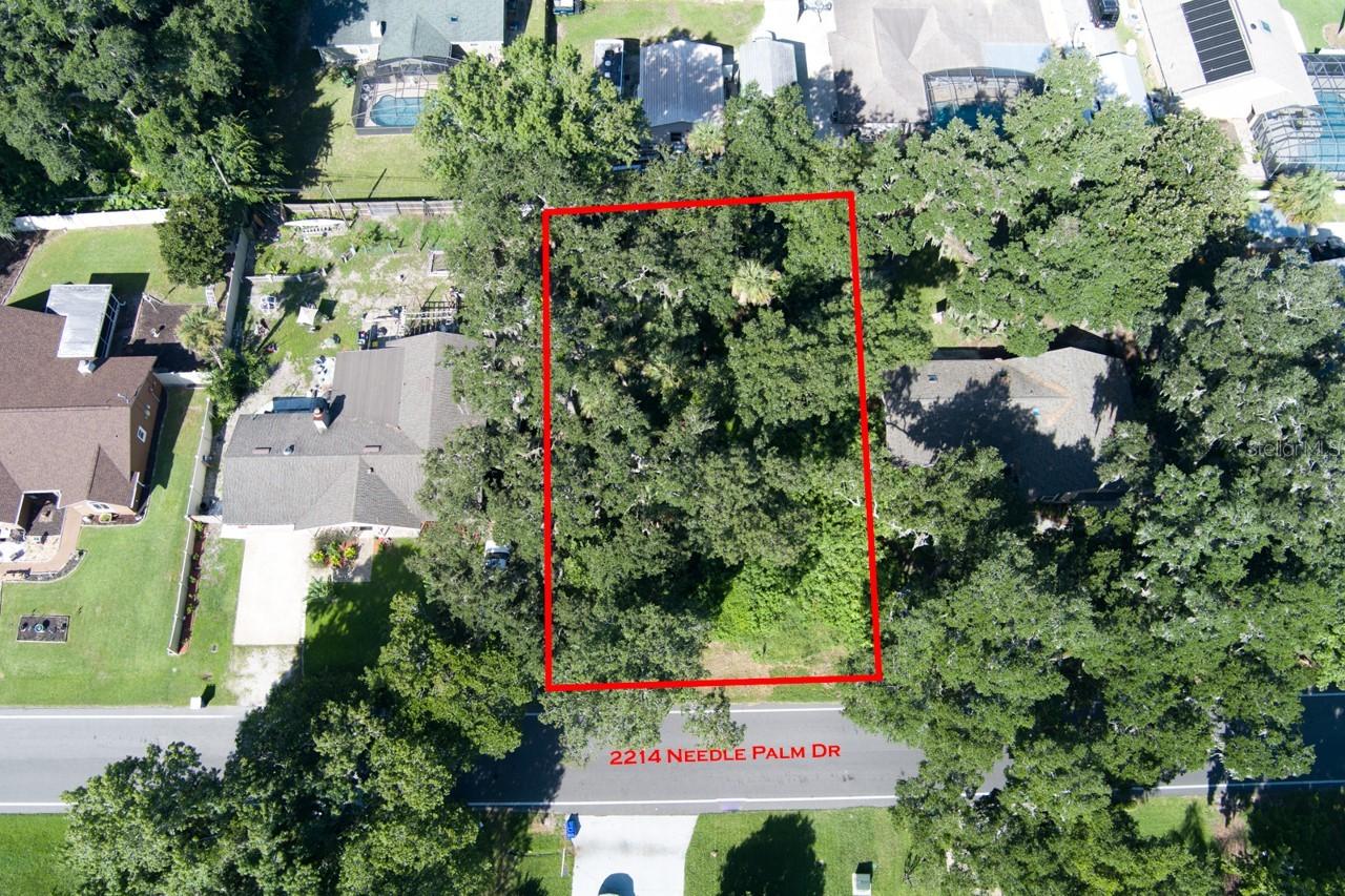 2214 Needle Palm Dr., Edgewater, FL 32141