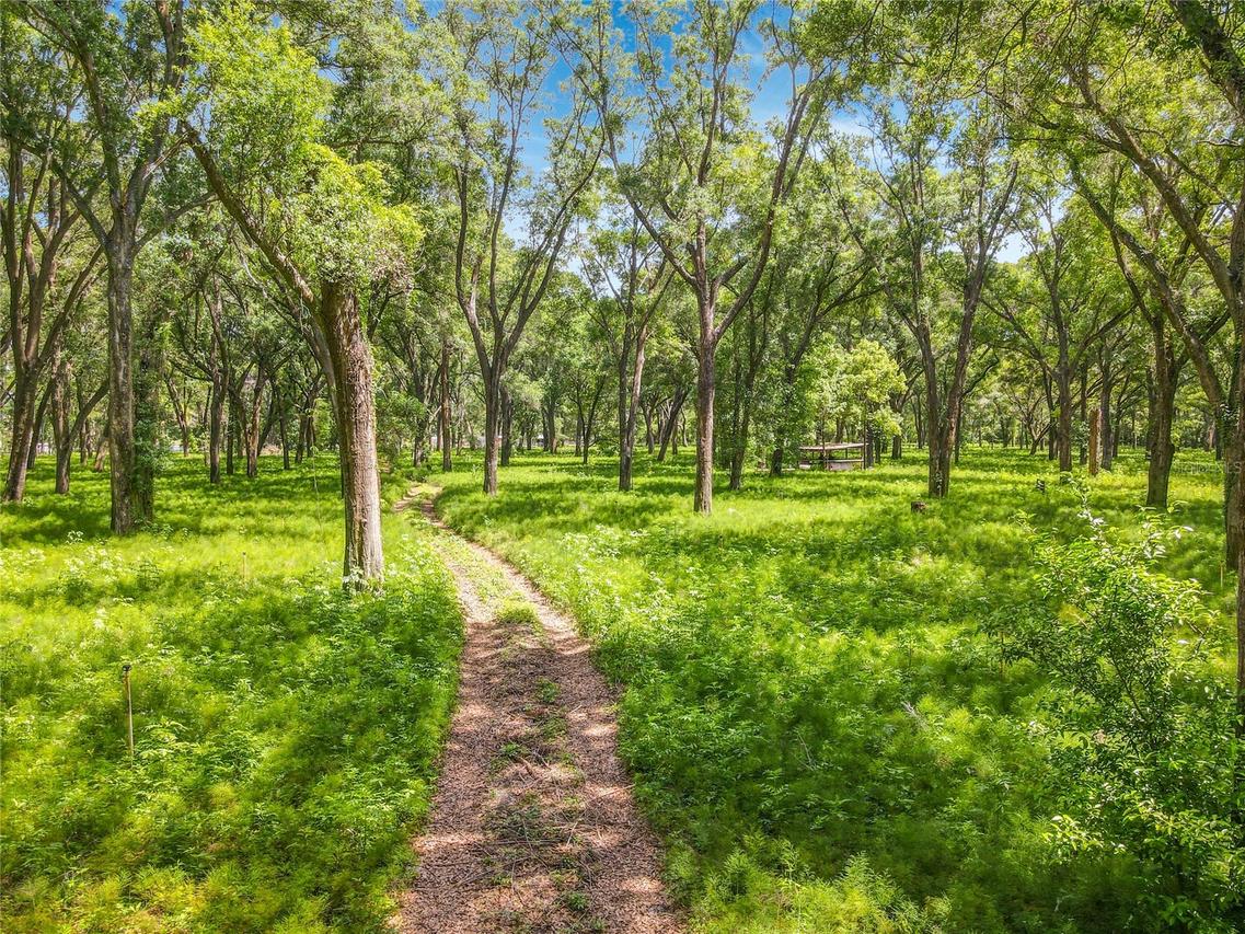 164 Denver Rd., Crescent City, FL 32112