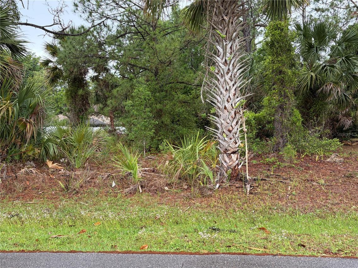 31 Whittingham Ln., Palm Coast, FL 32164