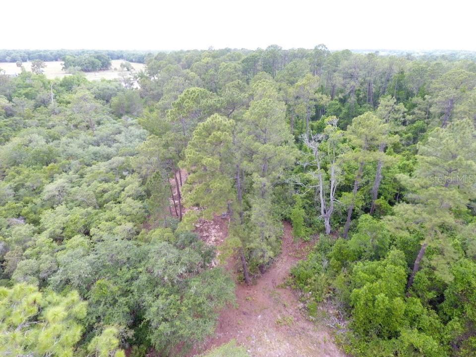 161 Snake Hill Rd., Crescent City, FL 32112
