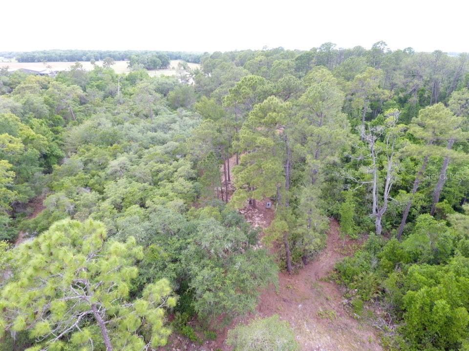 155 Snake Hill Rd., Pomona Park, FL 32181
