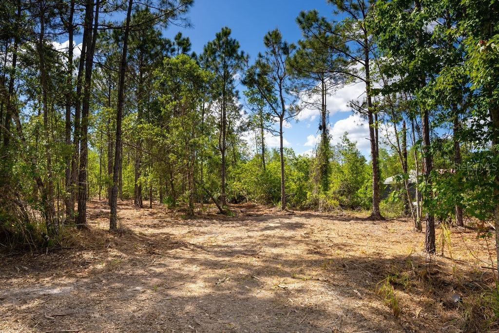 3770 Balsam Ct., Ormond Beach, FL 32174