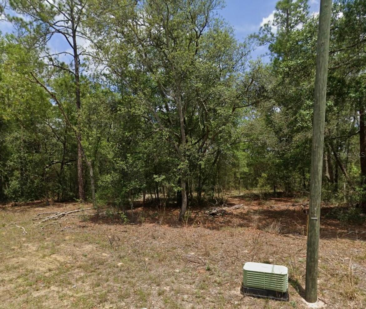 11304 N Fuego Dr., Citrus Springs, FL 34434