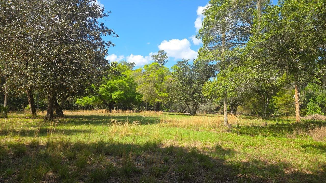 2140 St Johns River Rd., Astor, FL 32102
