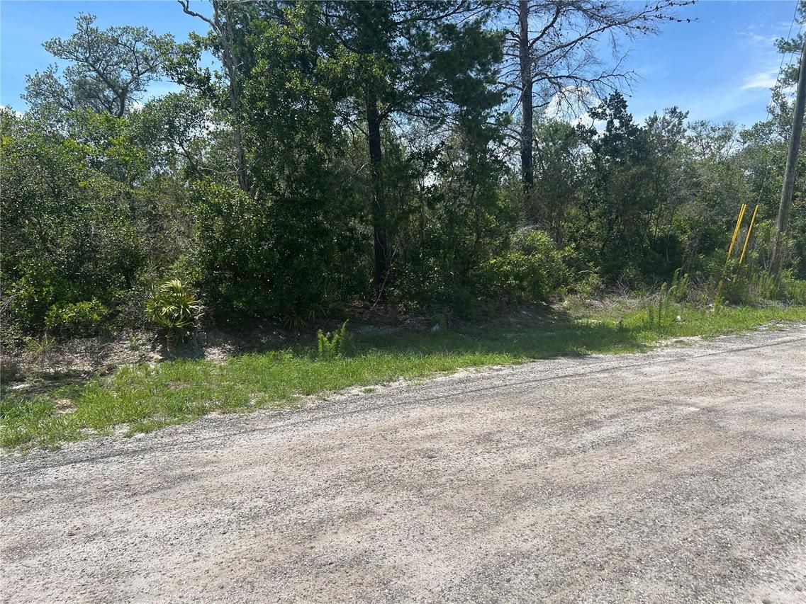 Waldor Ave., Orange City, FL 32763