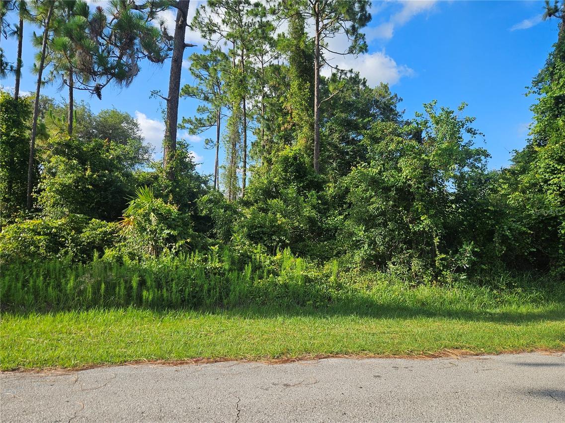 2318 Whitehorse St., Deltona, FL 32738