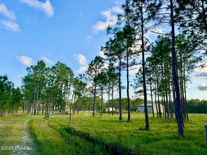 201 Wasick Ln., Ormond Beach, FL 32174