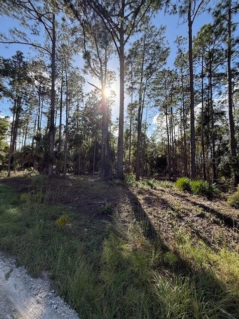215 Hideaway Ln., Georgetown, FL 32139