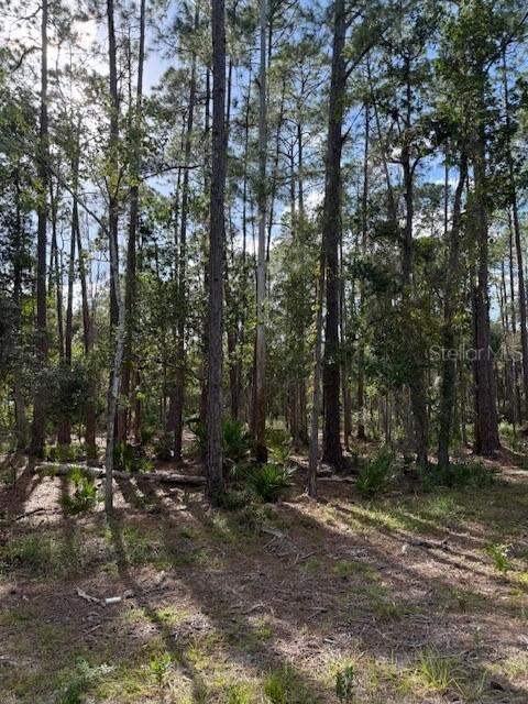 207 Ocala Ct., Georgetown, FL 32139