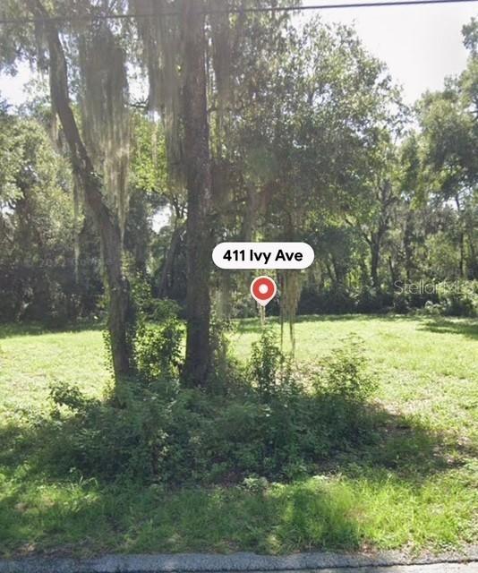 411 Ivy Ave., Deland, FL 32724