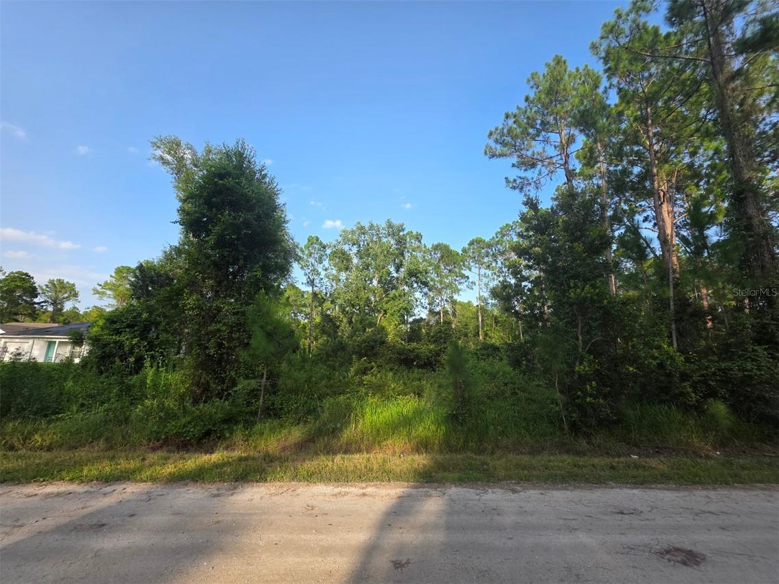 1233 East Pkwy., Deland, FL 32724