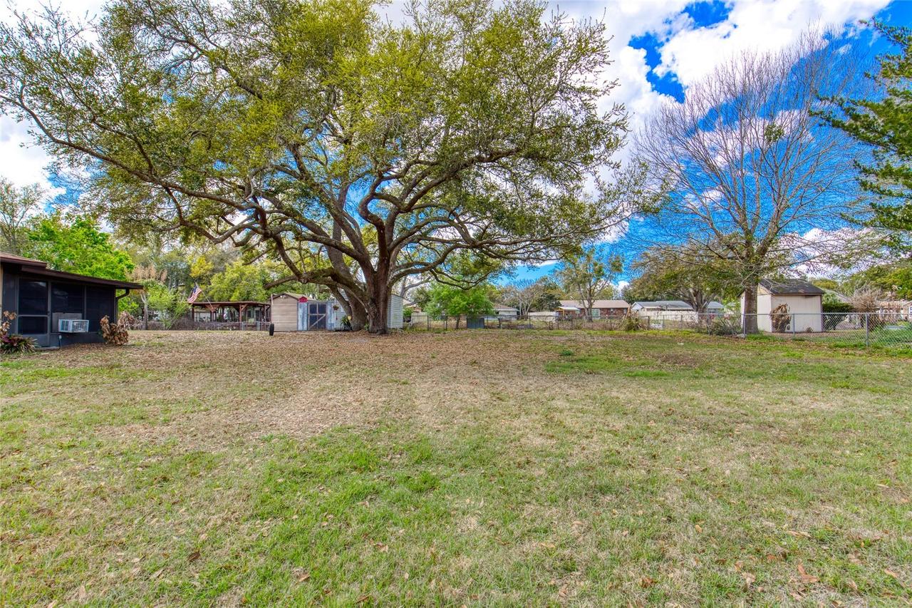 Lois Dr., Tavares, FL 32778
