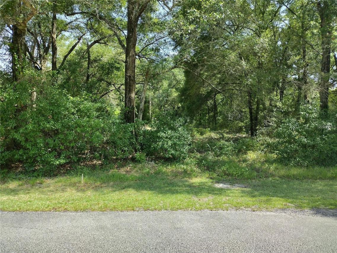 260 W Virginia Ave., Deland, FL 32720