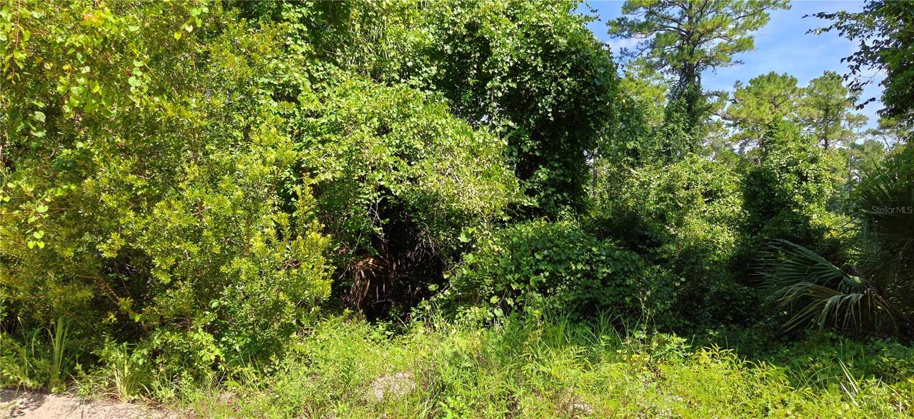 212 N 2nd Ave., Satsuma, FL 32189
