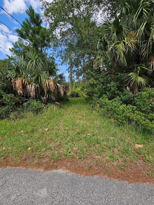 1715 Tatum Blvd., New Smyrna Beach, FL 32168