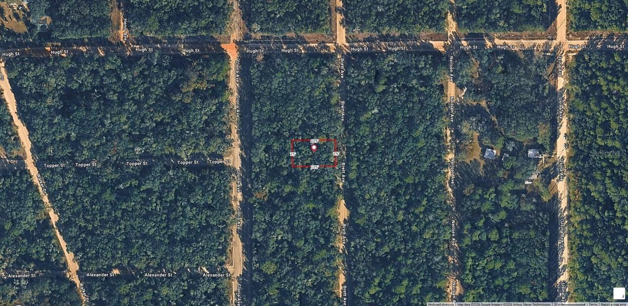 XX Brett Ave., Interlachen, FL 32148