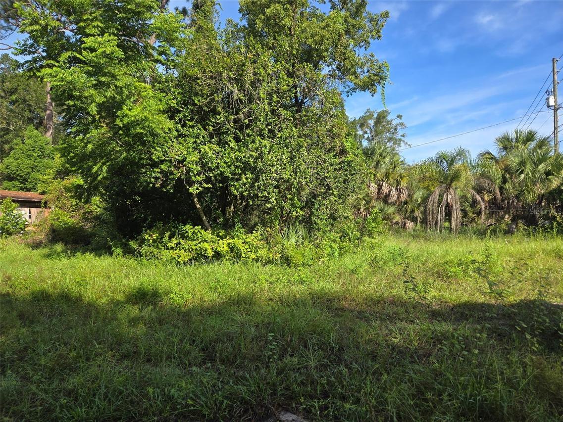 5028 Mount Plymouth Rd., Apopka, FL 32712