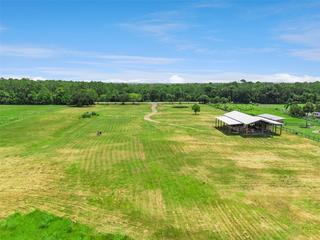 New Homes For Sale This Week in Lemon Bluff: August 14th to August 20th