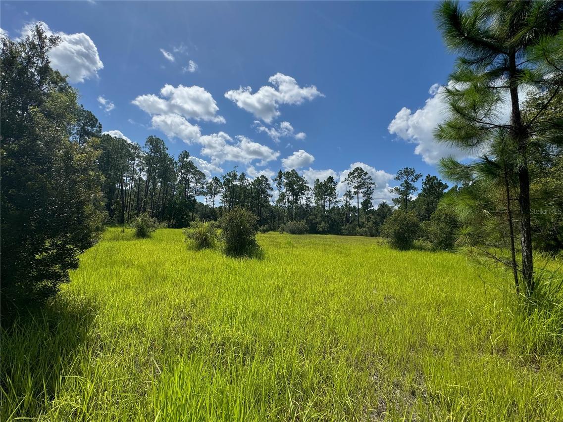 2750 Big John Dr., Deland, FL 32724