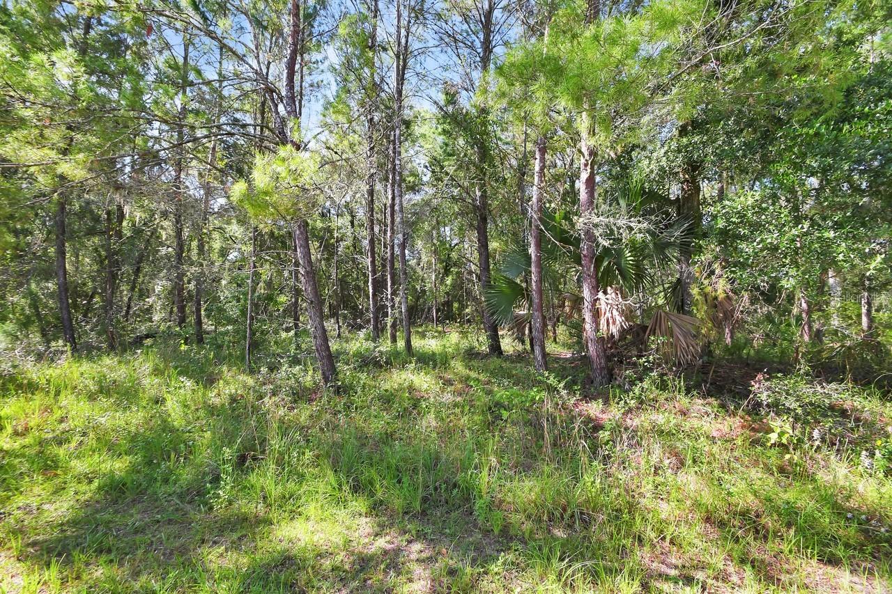 1964 S Farm Rd., Deland, FL 32720
