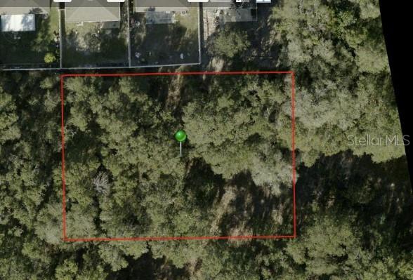 Ivy Ave., Deland, FL 32724