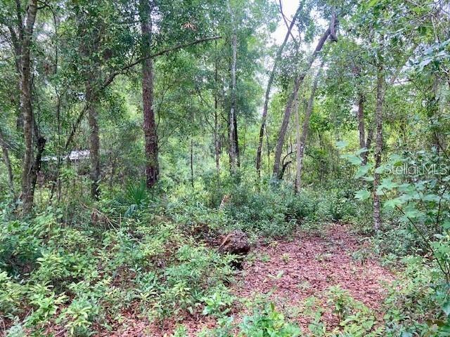 407 Raulerson Rd., Seville, FL 32190