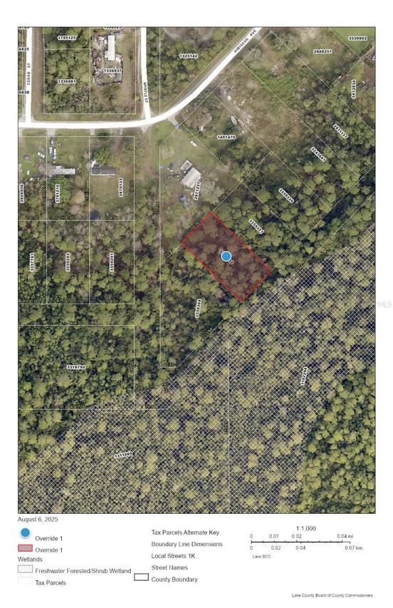 Raccoon St., Paisley, FL 32767